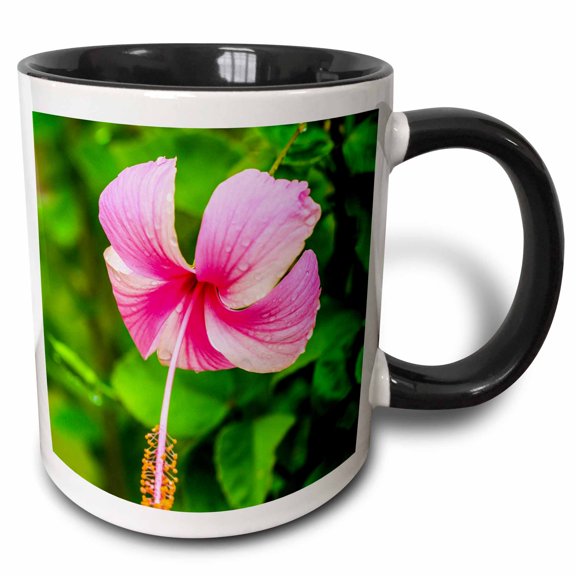 3drose, Hibiscus Flower Dips over Green Foliage, Ranthambore, Rajasthan, India, 11oz Two-tone Black Mug