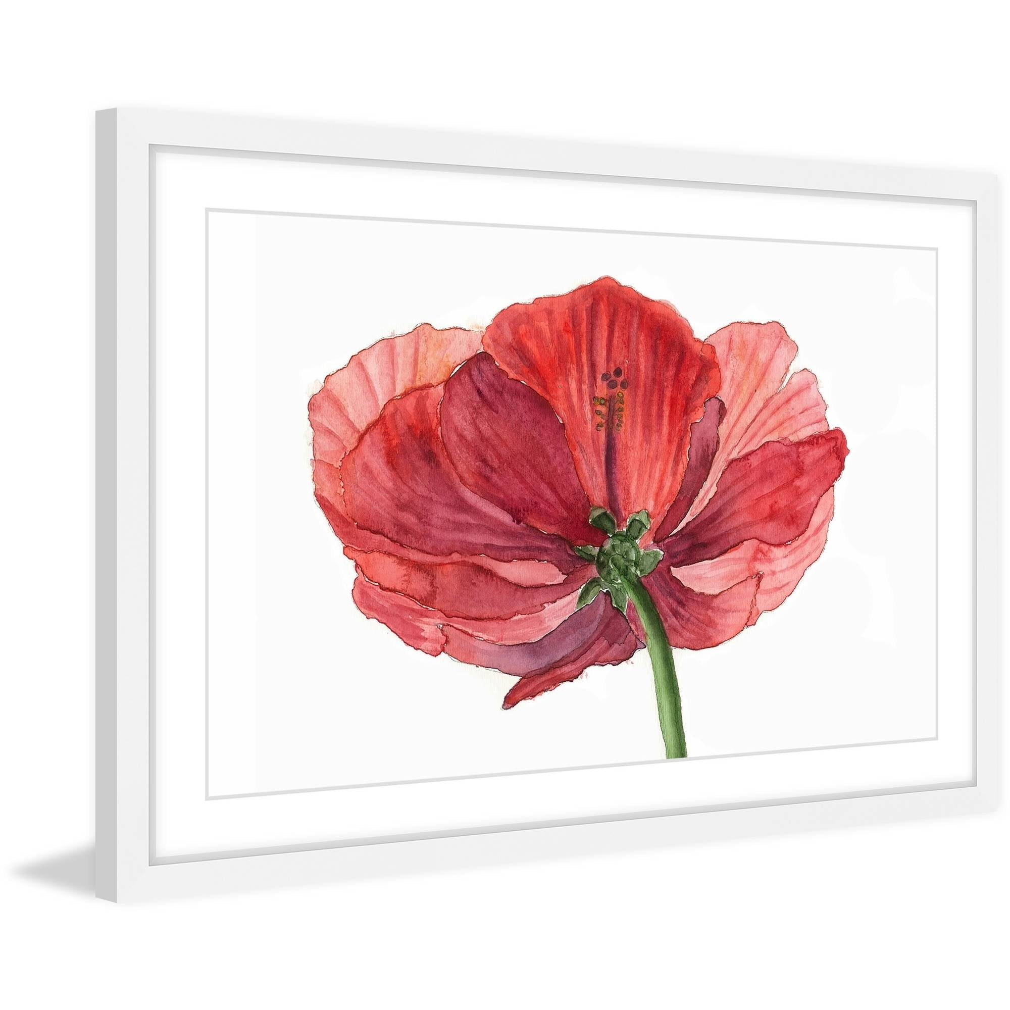 Large Red Hibiscus Flower Canvas Print with White Frame
