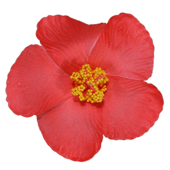 Hibiscus Flower Hair Clip For Women -Beach Vacation Hair Accessories, Summer Luau Party Clips, Colorful Floral Hairpin For Girls, Hawaiian Festival & Holiday Decor Hallow Makeup Organizers