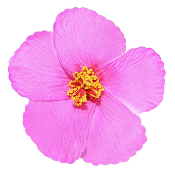Hibiscus Flower Hair Clip For Women -Beach Vacation Hair Accessories, Summer Luau Party Clips, Colorful Floral Hairpin For Girls, Hawaiian Festival & Holiday Decor Hallow Makeup Organizers