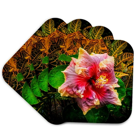 3drose, Hibiscus Flower, Kona Coast, the Big Island, Hawaii, Usa, Set of 4 Coasters - Soft
