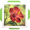 thumbnail image 1 of Hibiscus Flower, quilling art greeting card for birthday, valentine's day, mother's day, anniversary, thank you, get well, 6" x 6", 1 of 8