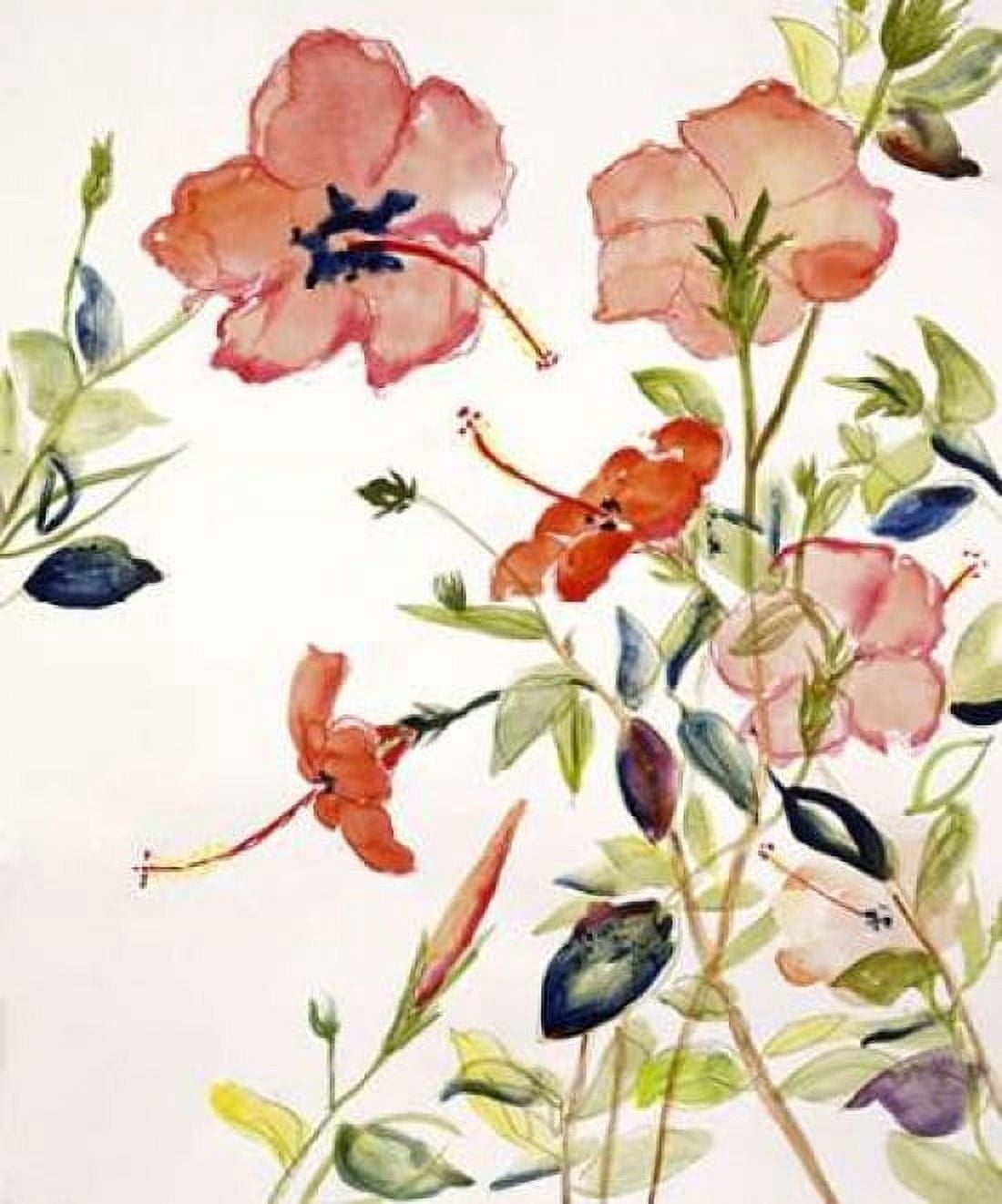 Hibiscus Flowerpiece Canvas Art - Sir Roy Calne (24 x 24)