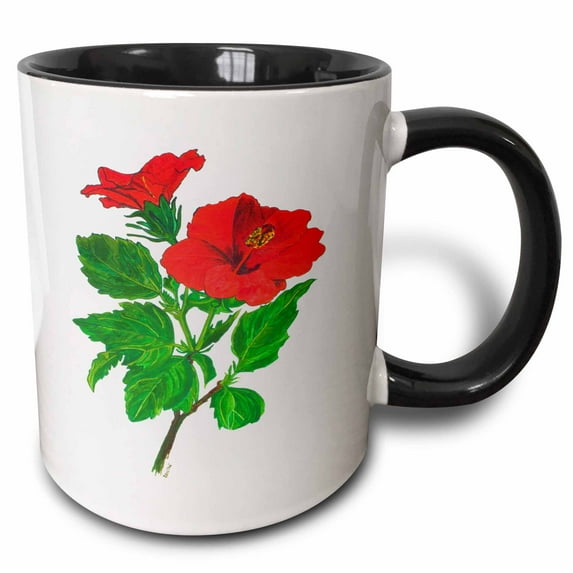 3drose, Hibiscus- Hibiscus Rosa Sinensis, Rose Mallow, Mallow, Sorrel, Flor De Jamaica, 2011, Red, 11oz Two-tone Black Mug