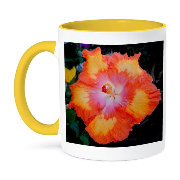 3dRose, Hibiscus in Shades of Orange State Flower of Hawaii, 11oz Two-Tone Yellow Mug