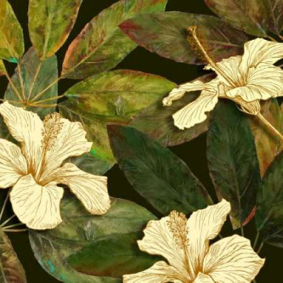 Hibiscus Leaves I Canvas Art - Patricia Pinto (24 x 24)