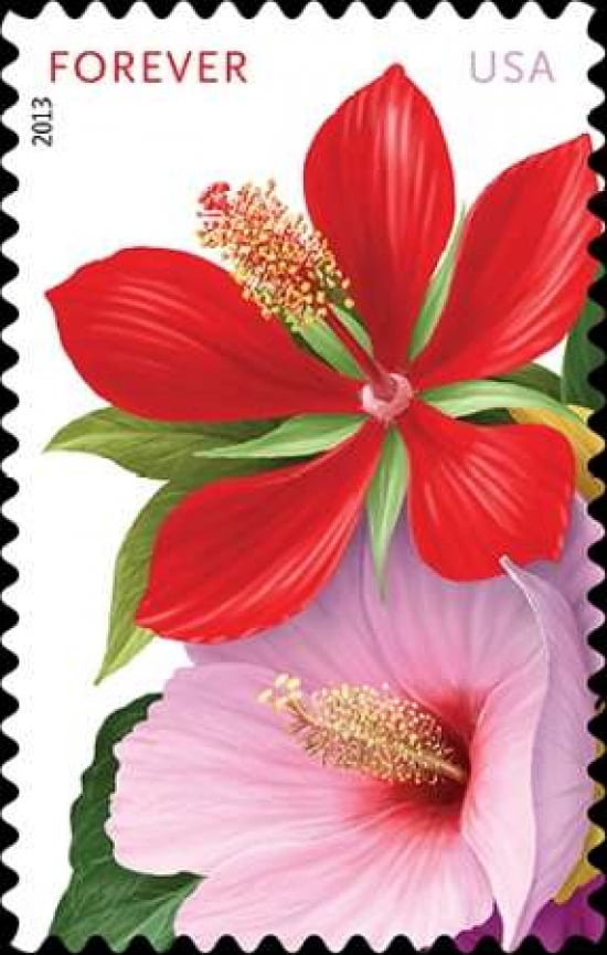 Hibiscuses Canvas Art - US POSTAL SERVICE (24 x 36)