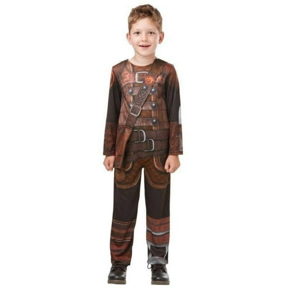 Ruby Slipper Sales Co., LLC (Rubies) How To Train Your Dragon Hiccup Child Costume | Small Unisex