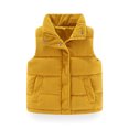 thumbnail image 1 of Hicidod Baby Corduroy Vest Solid Color Windproof Winter Warm Jackets Zip Up Sleeveless Button Stand Collar Waistcoat Deals of the Week, 1 of 7