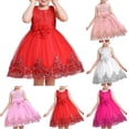 thumbnail image 1 of Hicidod Flower Girl Dress Kids Ruffles Lace Party Wedding Dresses Ball Gown Tulle Tutu Prom Dresses Sleeveless Princess Dress, 1 of 6