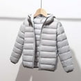 thumbnail image 1 of Hicidod Kids Winter Jacket Thicken Solid Color Lightweight Warm Down Coat Water-Resistant Packable Hooded Zipper Puffer Jackets, 1 of 3