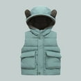 thumbnail image 1 of Hicidod Toddler Down Vest Cute Bear Ears Hooded Zipper Warm Baby Jacket Fleece Lined Windproof Puffer Vests for Winter Fall Spring, 1 of 6