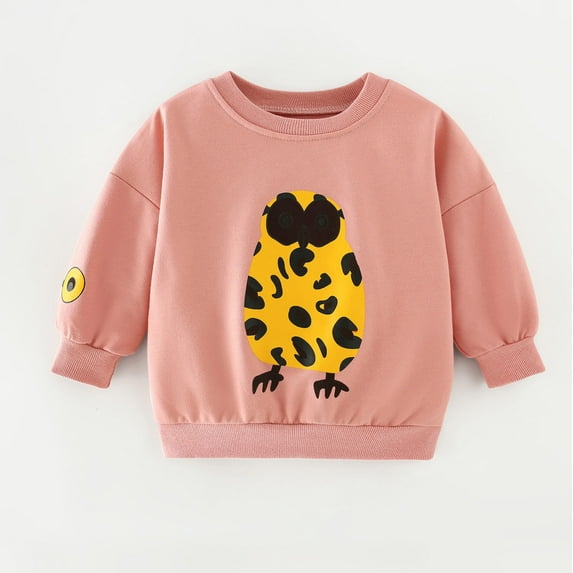 Hicidod Toddler Girls Sweatshirt Long Sleeve Pullover Crewneck Tops Shirts Sweater Cotton Warm Soft Casual Sweatshirts