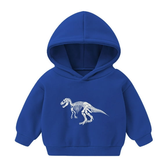 Hicidod Toddler Hoodies Boys Long Sleeve Cute Dinosaur Print Pullover Hoodie Fashion Fall Sweatshirt Tops for Boys Girls