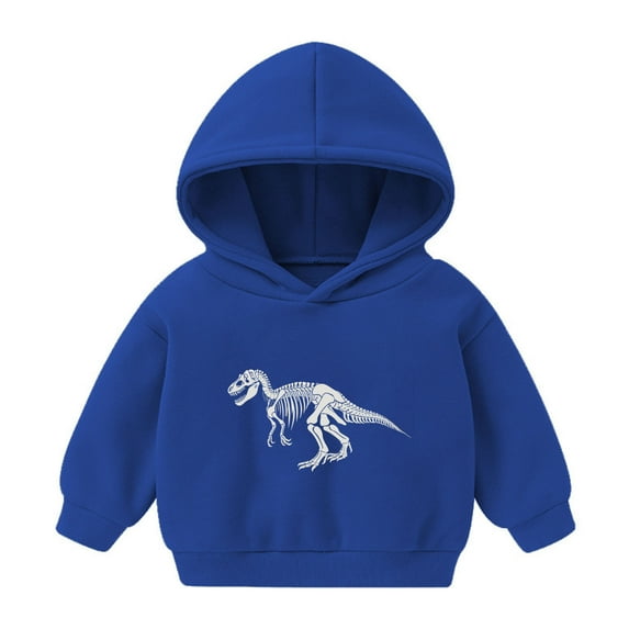 Hicidod Toddler Hoodies Boys Long Sleeve Cute Dinosaur Print Pullover Hoodie Fashion Fall Sweatshirt Tops for Boys Girls
