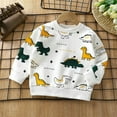 thumbnail image 1 of Hicidod Toddler Sweatshirt Girls Crew Neck Cute Cartoon Print Pullover Tops Fall Long Sleeve Cotton Soft Kids Sweatshirts, 1 of 3