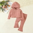 thumbnail image 1 of Hicidod Toddler Sweatsuit 2pcs Set Long Sleeve Hoodie Top Long Sweatpants Suit Solid Color Casual Baby Tracksuit Outfits, 1 of 7