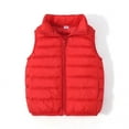 thumbnail image 1 of Hicidod Winter Puffer Vest for Kids Sleevelss Zipper Warm Down Coat Lightweight Fashion Solid Color Thicked Puffy Jacket, 1 of 7