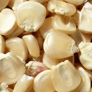 Hickory King White Corn Seeds - 1/2 OZ 25 Seeds - Non-GMO Heirloom Open Pollinated - Vegetable Gardening Seeds