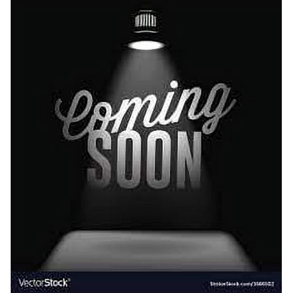 HID HEADLIGHT BALLAST