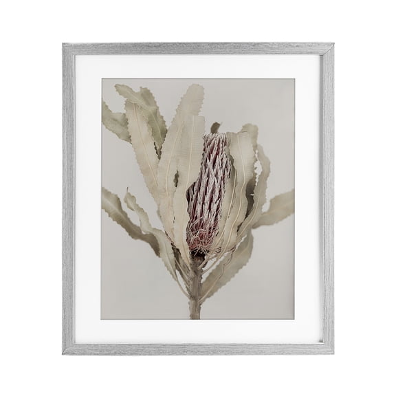 Stupell Industries Hidden Banksia Botanical Fronds Gray Framed Print Under Glass, design by Sisi and Seb