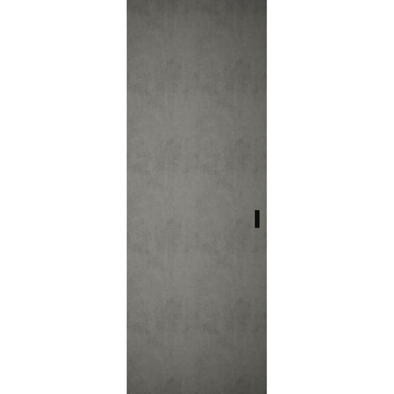 Hidden Barn | Planum 0010 Concrete | Sturdy Finished Doors | Magic Concealed Sliding Set 18" x 80"