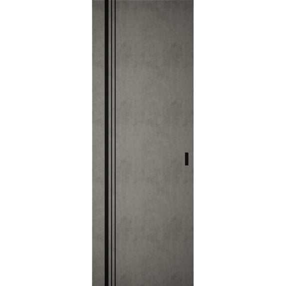 Hidden Barn | Planum 0011 Concrete | Sturdy Finished Flush Modern Doors | Magic Concealed Sliding Set 42" x 96"