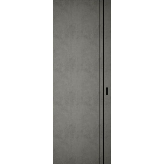 Hidden Barn | Planum 0016 Concrete | Sturdy Finished Flush Modern Doors | Magic Concealed Sliding Set 32" x 80"