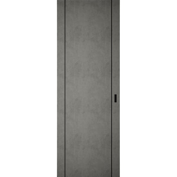 Hidden Barn | Planum 0017 Concrete | Sturdy Finished Flush Modern Doors | Magic Concealed Sliding Set 18" x 84"
