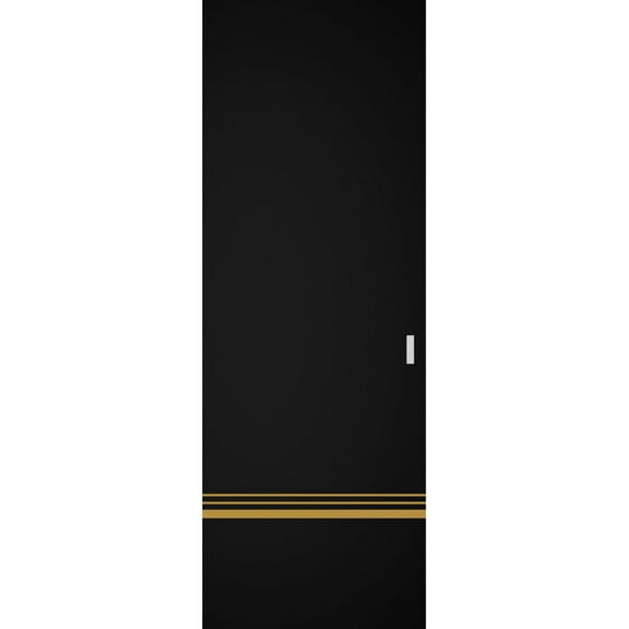 Hidden Barn | Planum 2010 Black Matte | Sturdy Finished Modern Doors | Magic Concealed Sliding Set 18" x 80"