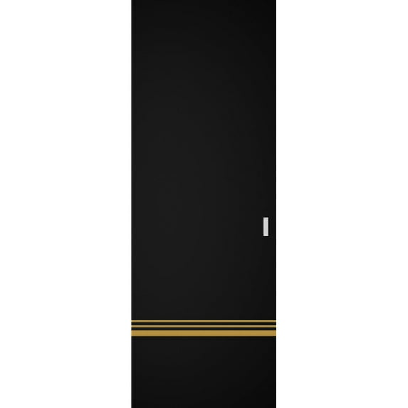 Hidden Barn | Planum 2010 Black Matte | Sturdy Finished Modern Doors | Magic Concealed Sliding Set 28" x 96"