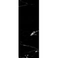 thumbnail image 1 of Hidden Barn with Black Edges | Planum 0010 Nero Marquina 36" x 80", 1 of 5