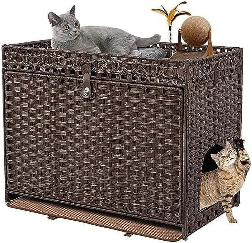Cat box for large sales cats