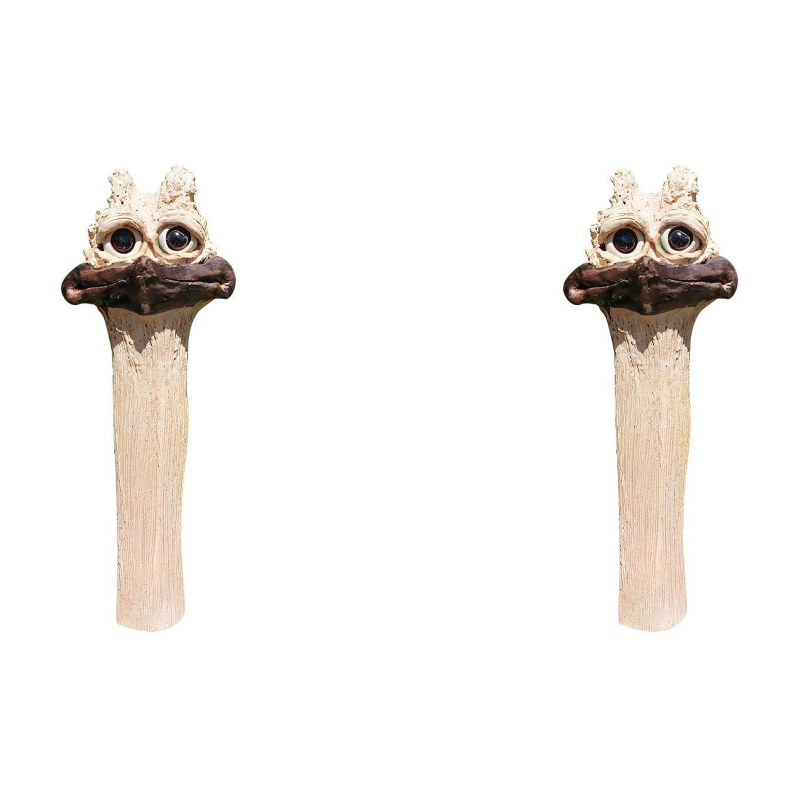 🐓 Hidden Chicken Garden Indoor Lettuce Growing System Front Yard Lights