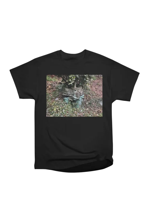 Hidden Dragon T-Shirt Tee Gift For Him Merch For Her Apparel For Friend