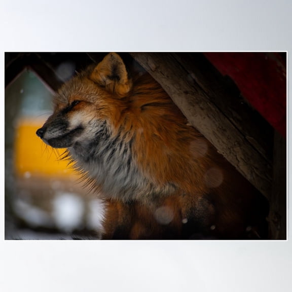 Hidden Fox Poster Wall Art, Modern Wall Decor For Living Room Bedroom, 8x12 UNFRAMED