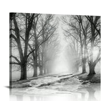 Hidden Frame Canvas Wall Art - Misty Forest Path Black & White Decor Serene Ambience-Style Popular Wall Decor for Living Room 16x12in
