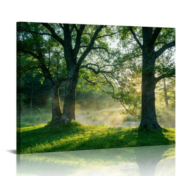 Hidden Frame Canvas Wall Art - Morning Mist Forest & Sunlight Decor Fresh Healing-Style Popular Wall Decor for Living Room 32x24in