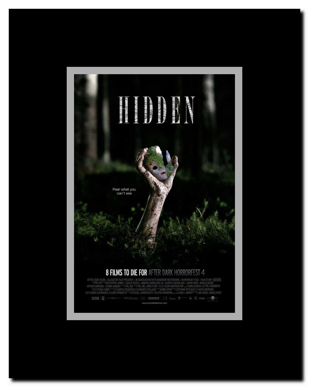 Hidden Framed Movie Poster