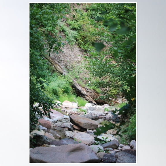 Hidden Gem Poster Wall Art, Modern Wall Decor, 8x12 UNFRAMED