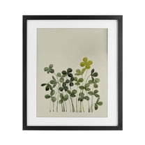 Hidden Gems Botanicals Black Framed Print Under Glass, design by Grace Popp