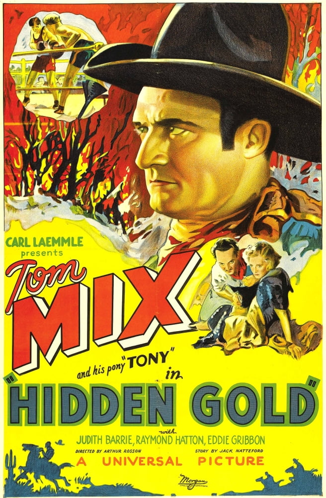 Hidden Gold Canvas Art - (11 x 17)