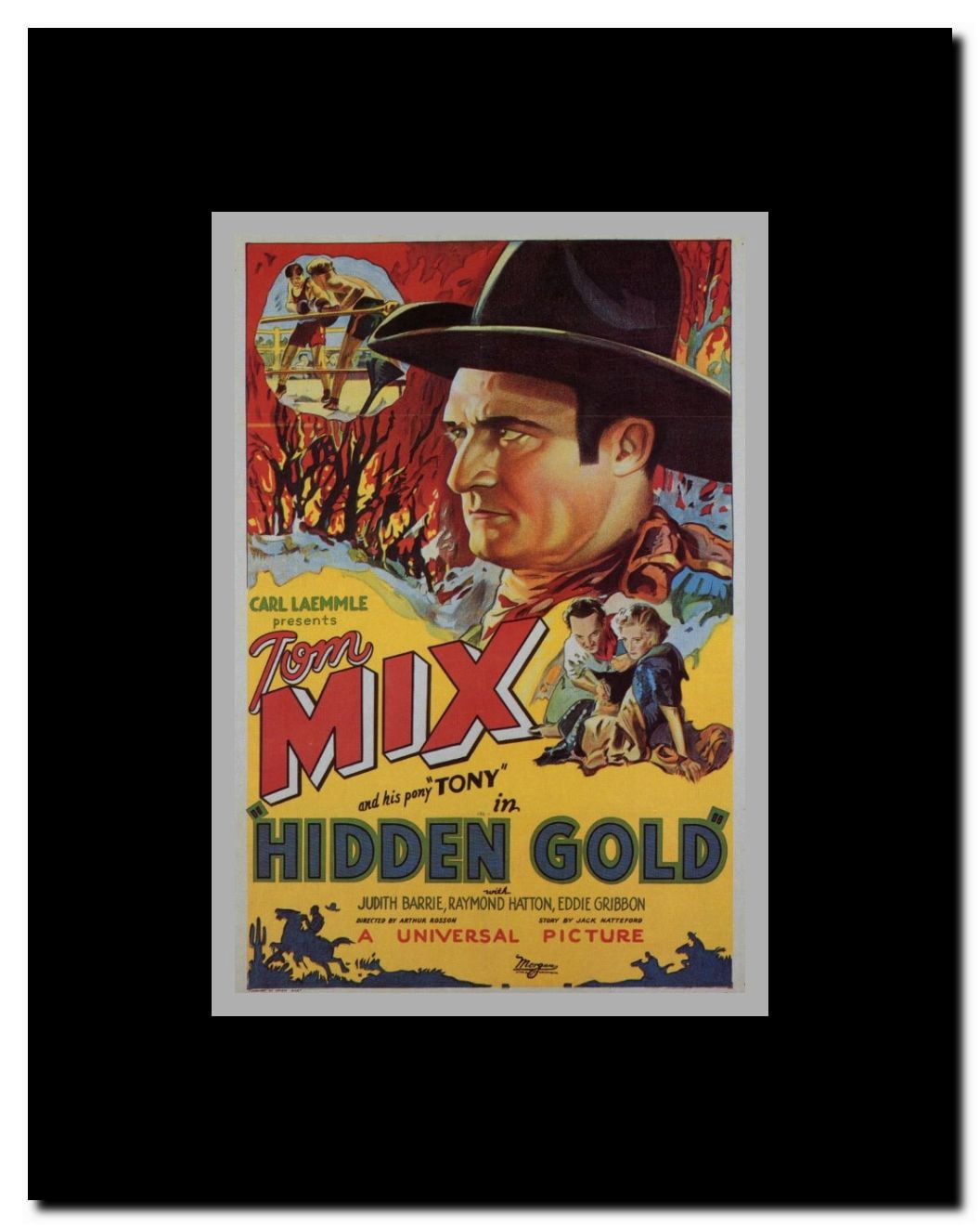 Hidden Gold Framed Movie Poster