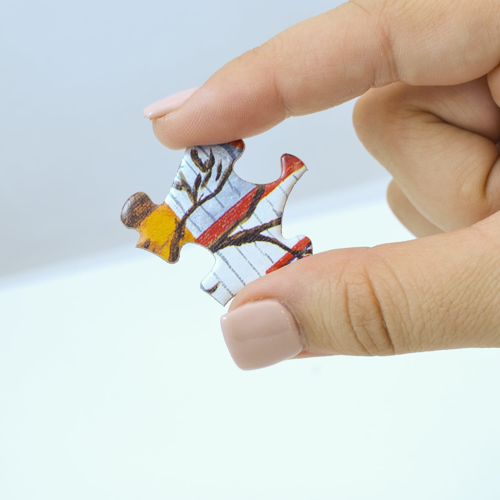 Hidden Images Glow in the Dark-Assortment 500 Piece Interlocking Jigsaw ...