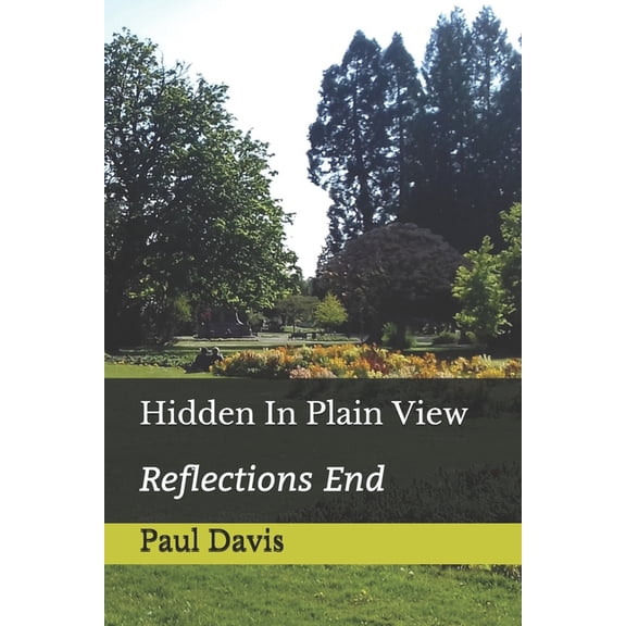 Hidden In Plain View: Reflections End (Paperback)