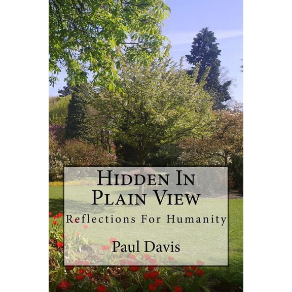 Hidden In Plain View: Reflections for Humanity