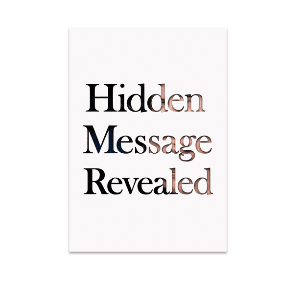 Hidden Message Revealed Negative Space Art - Modern Decor Enthusiast - 13x19 Poster Print