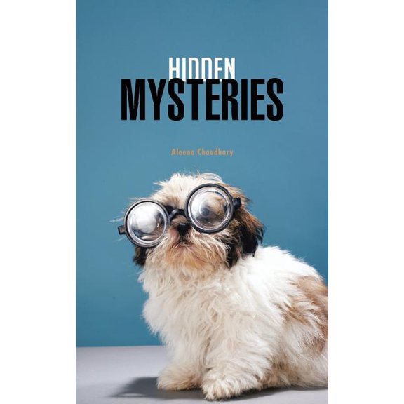Hidden Mysteries, (Paperback)