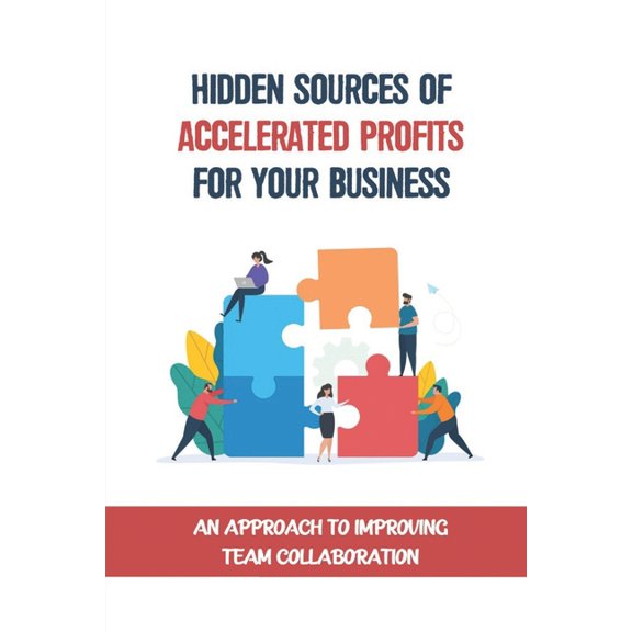 Hidden Sources Of Accelerated Profits For Your Business : An Approach To Improving Team Collaboration: Framework Of The Amp System (Paperback)