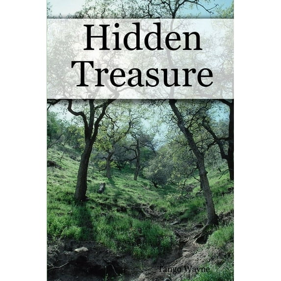 Hidden Treasure, (Paperback)